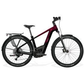 BESV TRX-B SUV 1.2 – Bosch Performance CX • 625 Wh - S