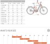 BESV CT 1.3 városi e-bike  - L
