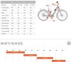 BESV CT 1.3 alacsony átlépésű városi e-bike - M