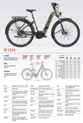 BESV CT 1.3 alacsony átlépésű városi e-bike - M