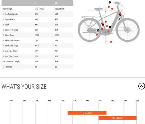 BESV CT 2.1 városi e-bike - L