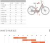 BESV CT 2.1 alacsony átlépésű városi e-bike - L