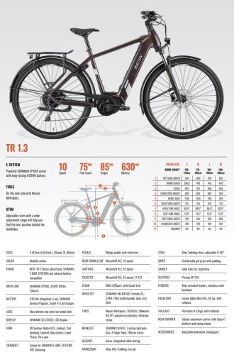 BESV TR 1.3 trekking e-bike - L