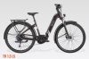 BESV TR 1.3 alacsony átlépésű trekking e-bike - M