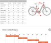 BESV TR 1.3 alacsony átlépésű trekking e-bike - M