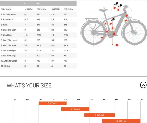 BESV TR 1.1 trekking e-bike - L
