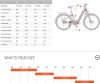 BESV TR 1.1 alacsony átlépésű trekking e-bike - M