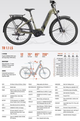 BESV TR 1.1 alacsony átlépésű trekking e-bike - L